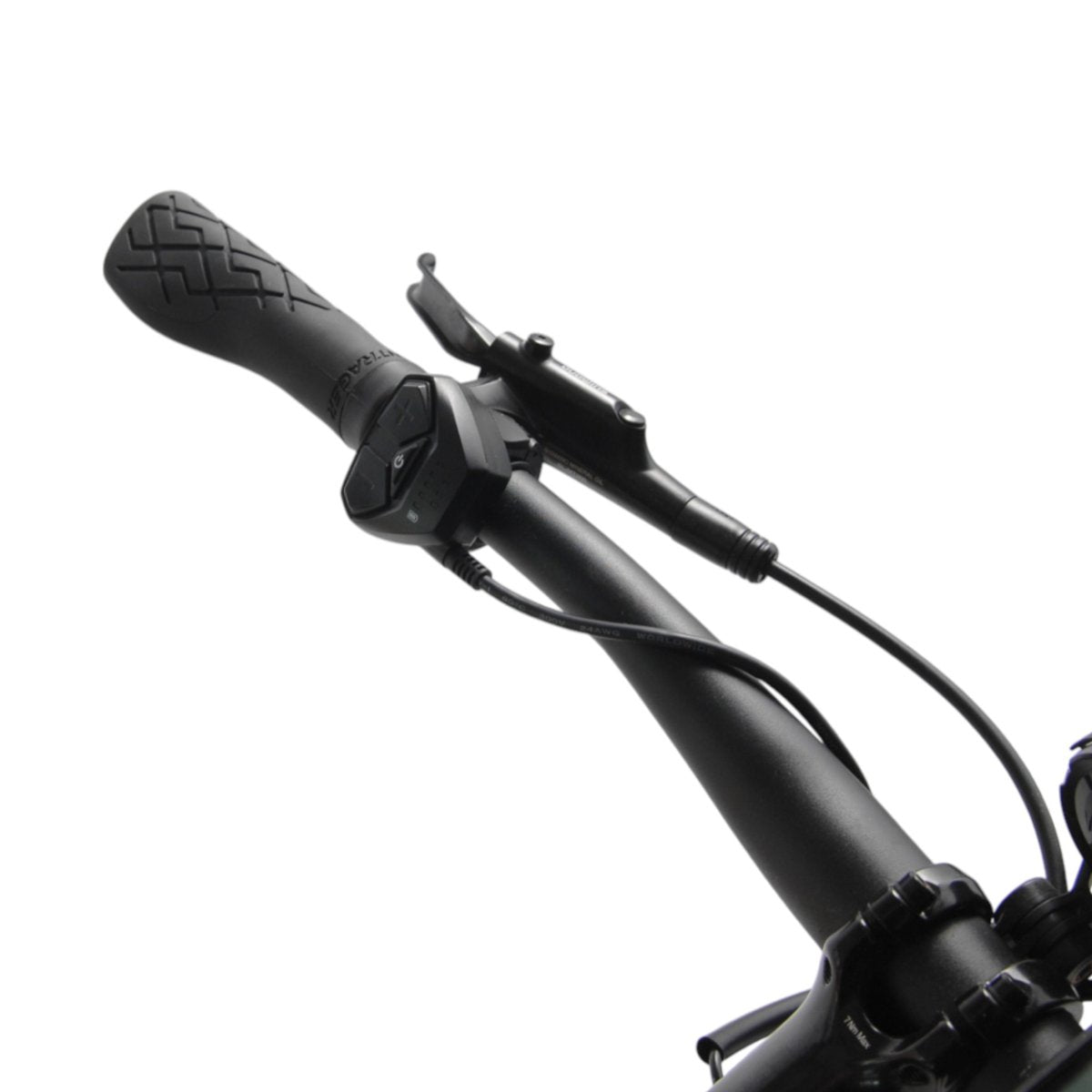 Trek Dual Sport+ 2 M