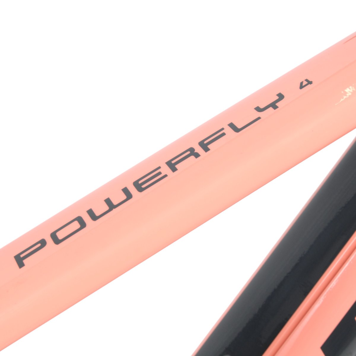 Trek Powerfly 4 – käytetty sähköpyörä, koko M