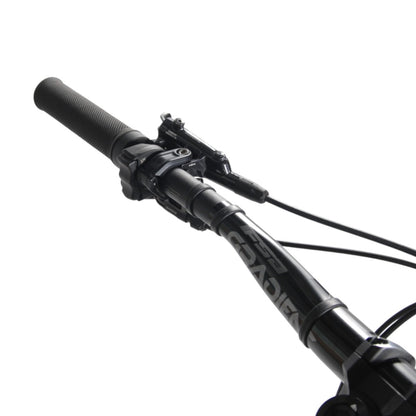 Canyon Torque:ON 7 L