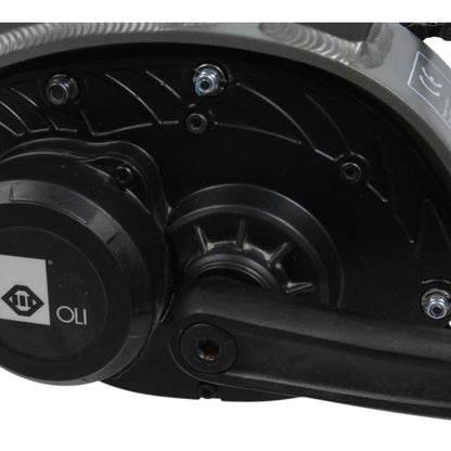 Madison Grizzly E MTB – käytetty sähköpyörä, koko 18”/48