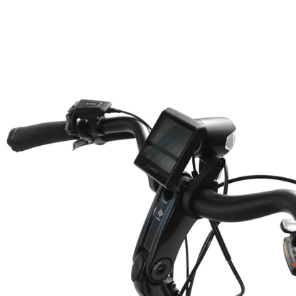 Trek Verve +3 Lowstep L