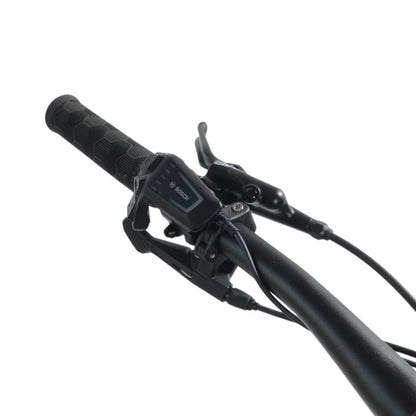 Trek Rail 5 625Wh Gen 3 M