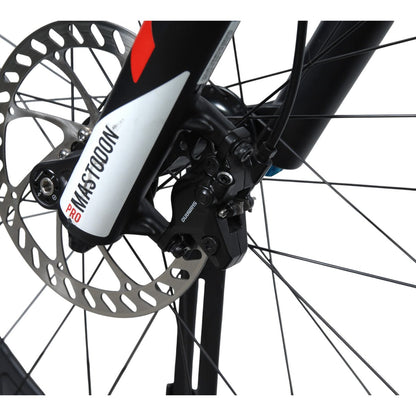 Runteli Mörri – käytetty pyörä, koko Custom