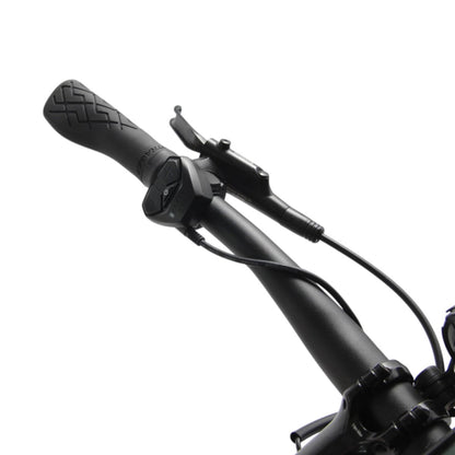 Trek Dual Sport+ 2 M