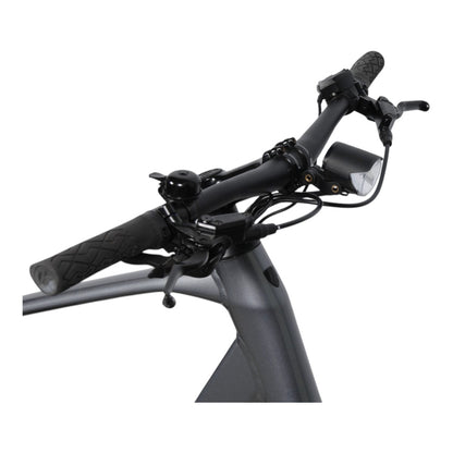 Trek Dual Sport+ 2 – käytetty sähköpyörä, koko L